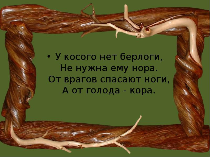 Есть в реке работники не столяры не плотники а выстроят плотину хоть пиши картину