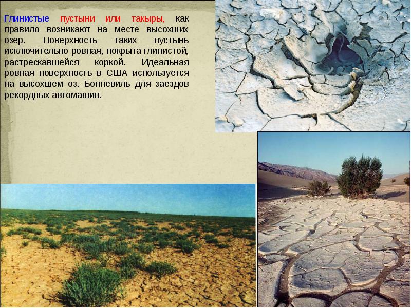 В пустыне встречаются. Глинистая пустыня такыры. Такыр в пустыне. Глинистые пустыни названия. Глинистые пустыни описание.