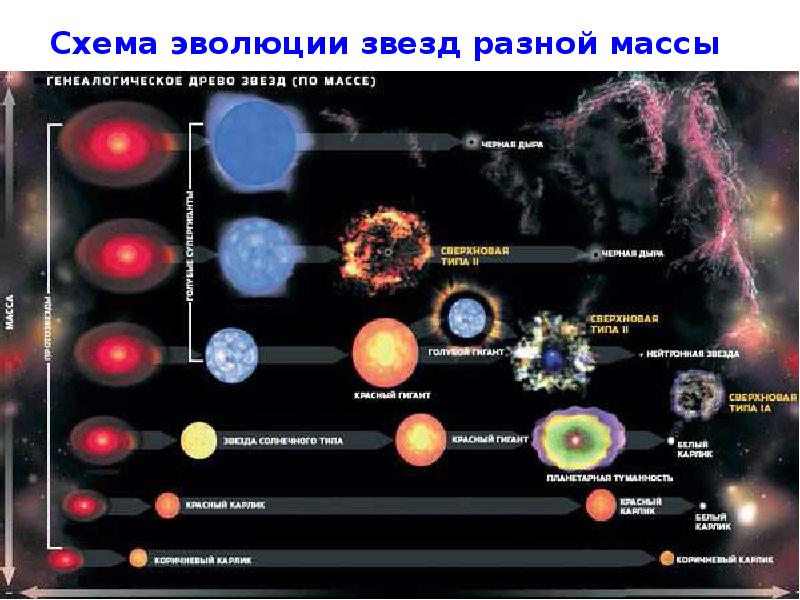 Стадии эволюции солнца схема