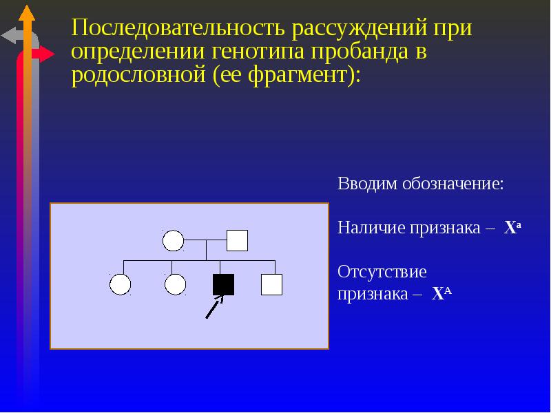 Биология задачи по генетике. Родословная пробанд. Родословные задачи по генетике пробанд. Пробанд и родители схема. Родословная с аутосомно-рецессивным типом наследования.