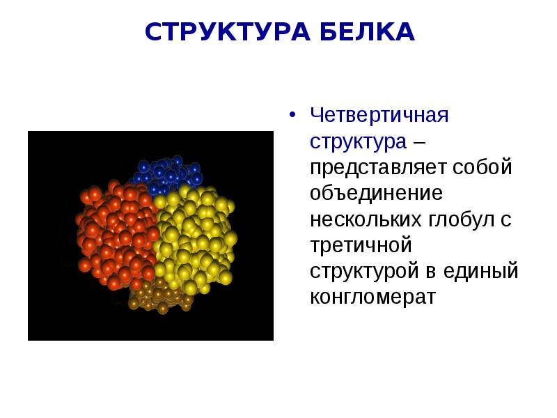 Белки презентация 9 класс