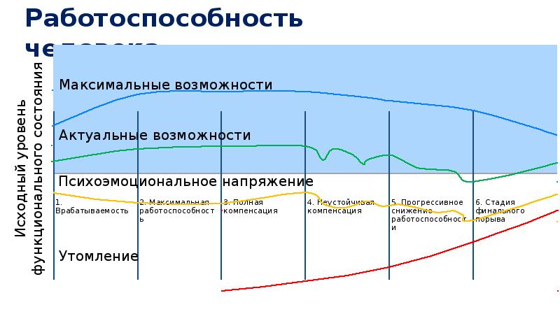 Презентация динамика работоспособности режим дня