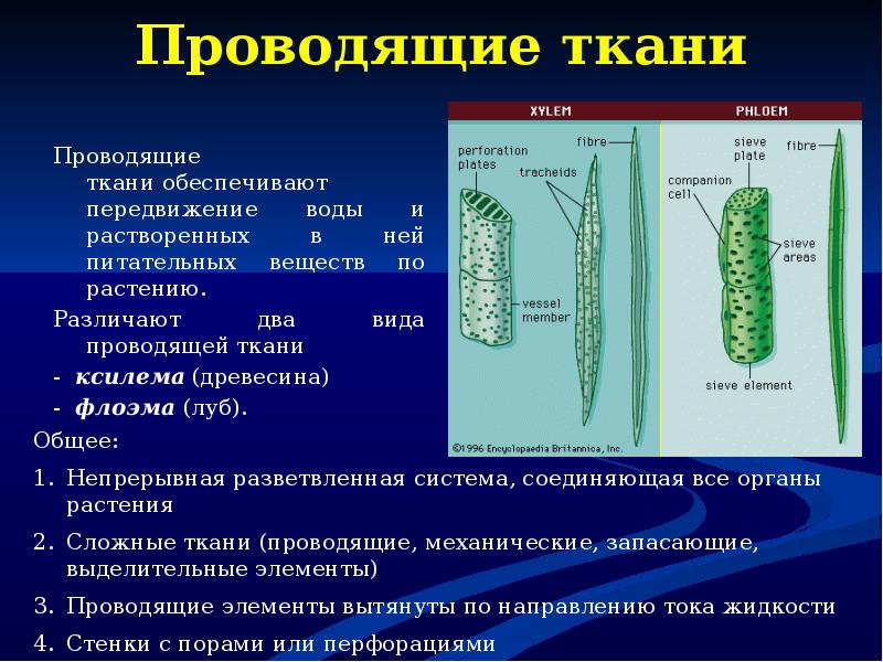 Характеристики проводящего материала