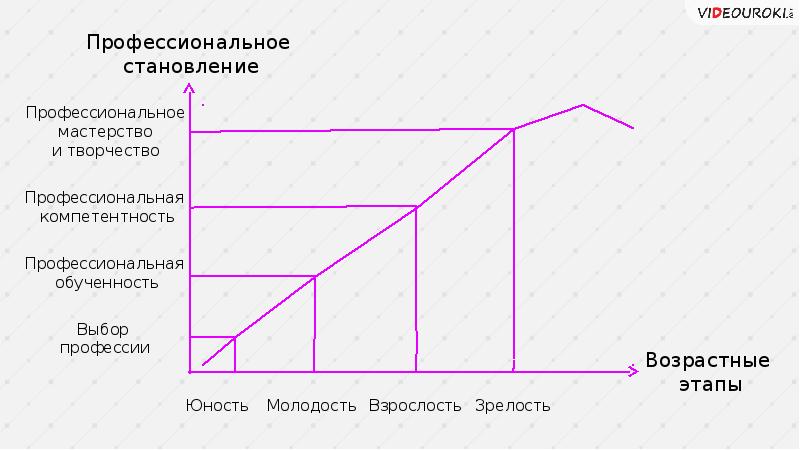 Этапы становления профессионала