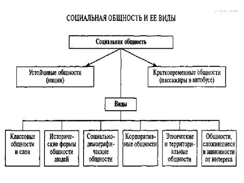 Социальная общность людей