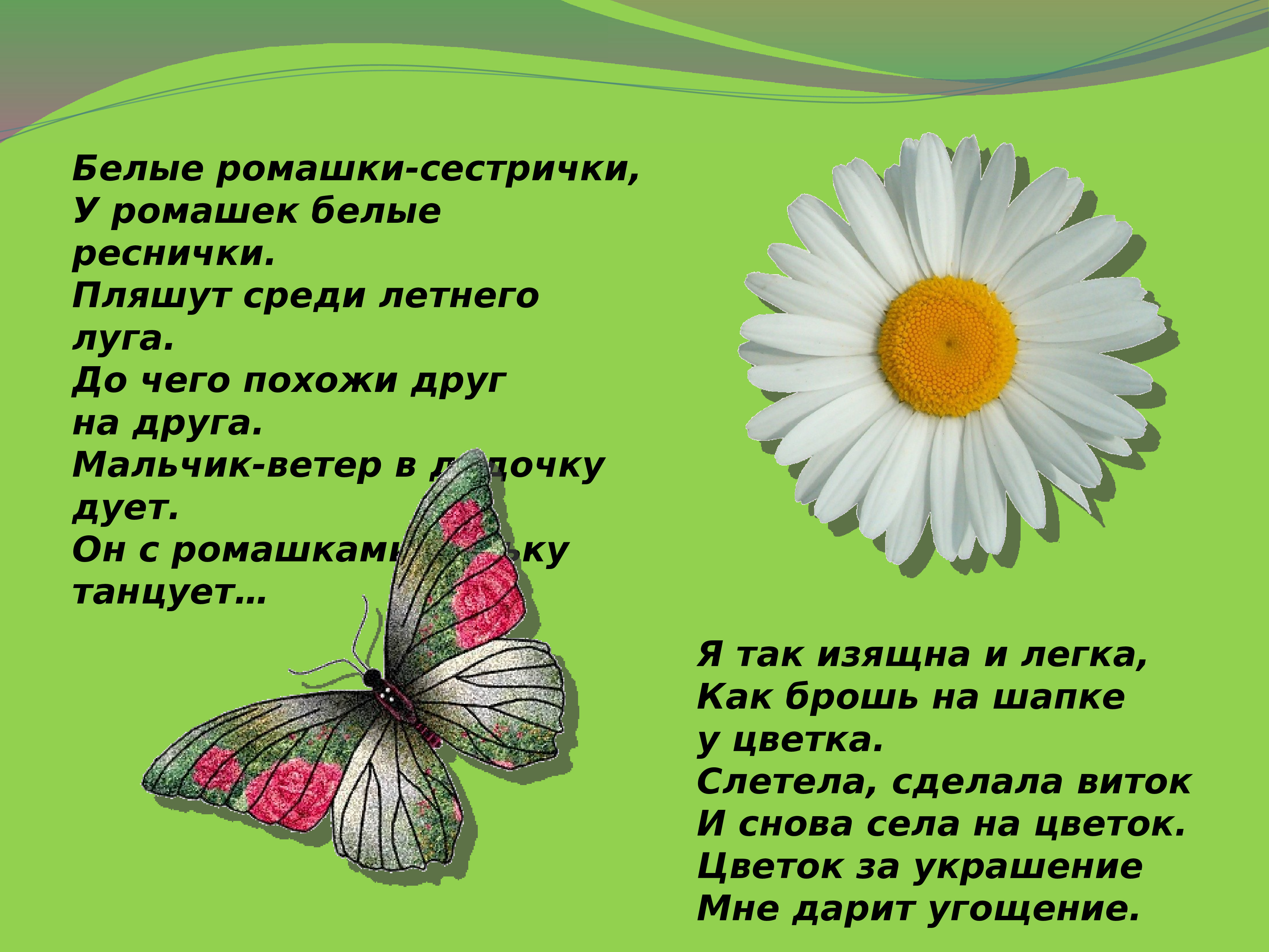 Презентация на тему мир. Мир вокруг нас презентация. Презентация 8 класс на тему мир вокруг нас. Мир вокруг нас стихи на эту тему. Сообщение на тему мир вокруг нас.