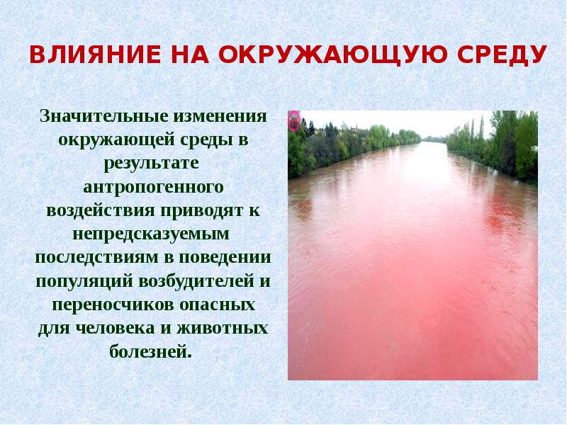 Влияние на окружающую среду. Влияние человека на окружающую среду вывод. Влияние технологий на окружающую среду. Влияние человека на окружающую среду презентация.