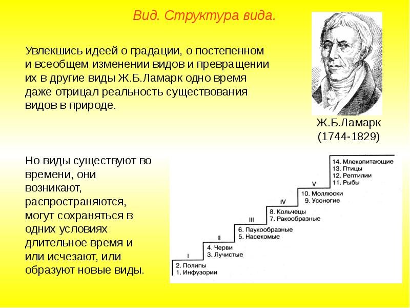 История развития эволюционных идей презентация 10 класс пономарева