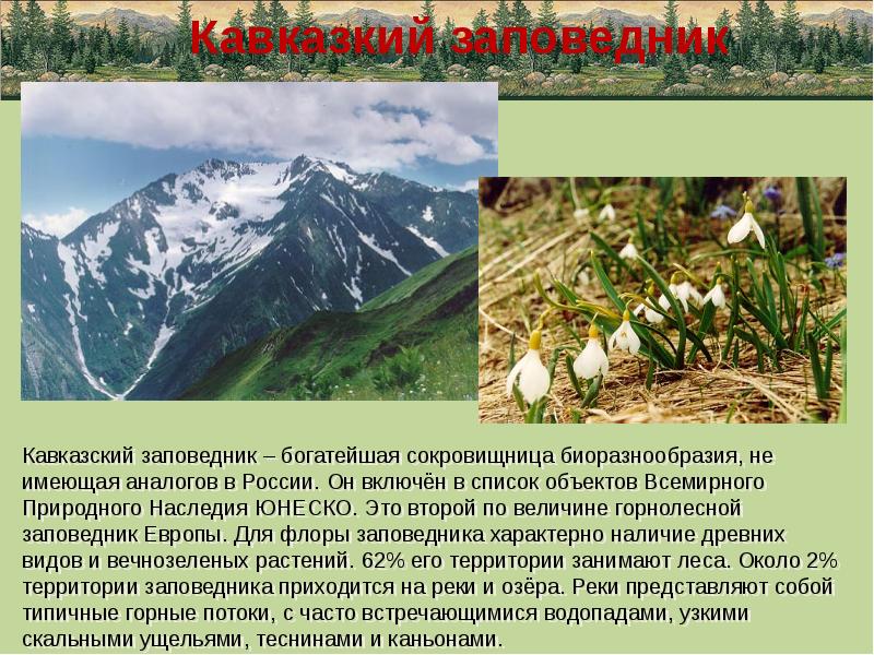 Краснодарский край 4 класс