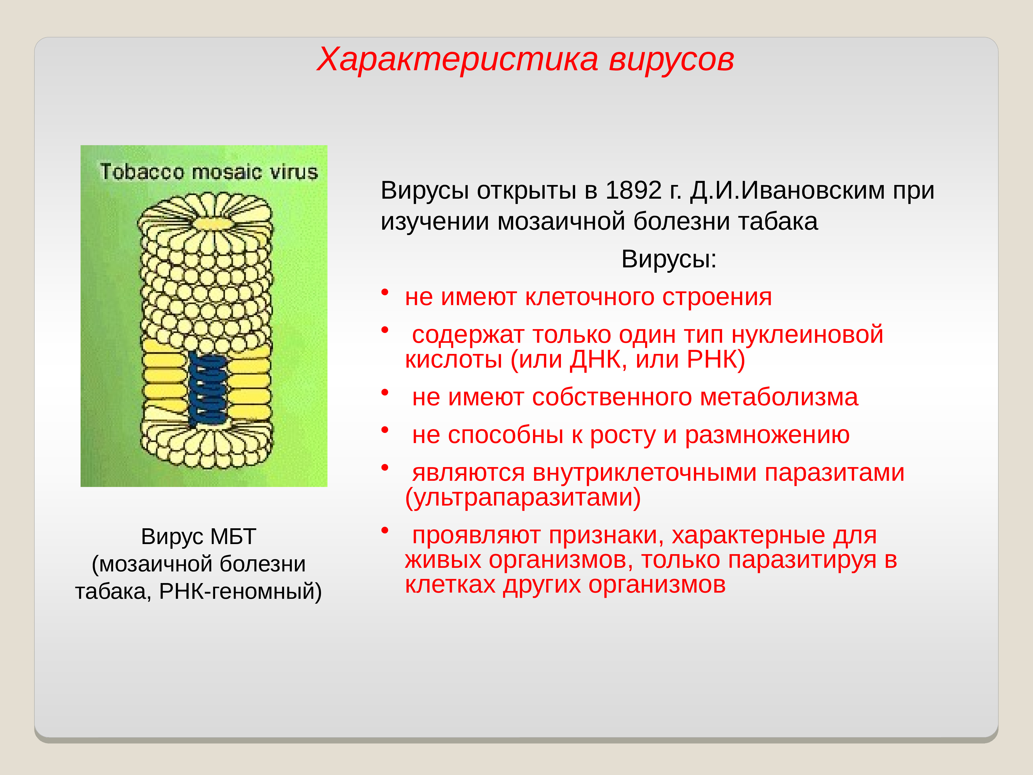 Егэ вирусы презентация