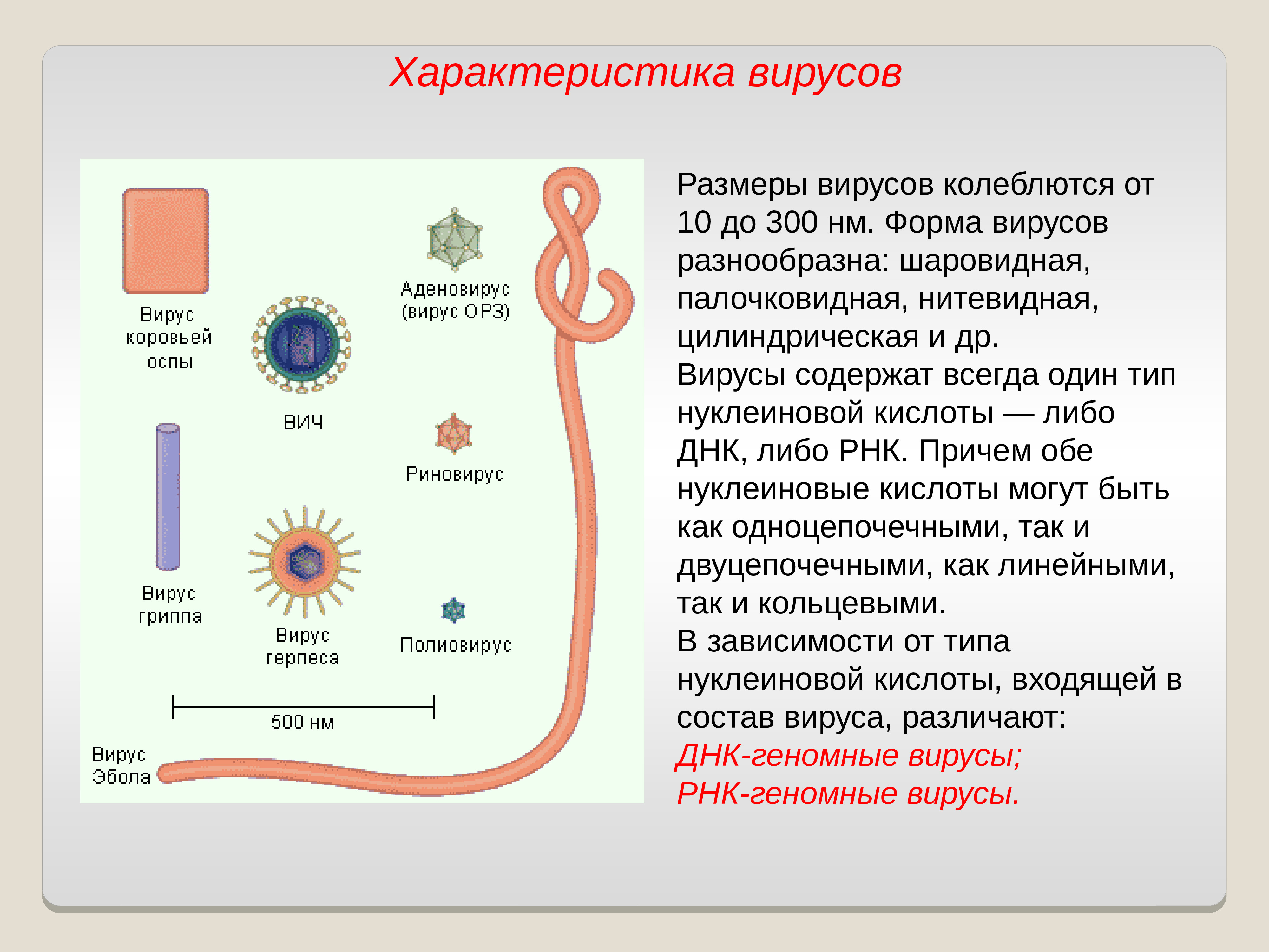 Вирусы форма строение. Формы вирусов. Нитевидные вирусы примеры. Вирусы шаровидной формы. Формы и Размеры вирусов.