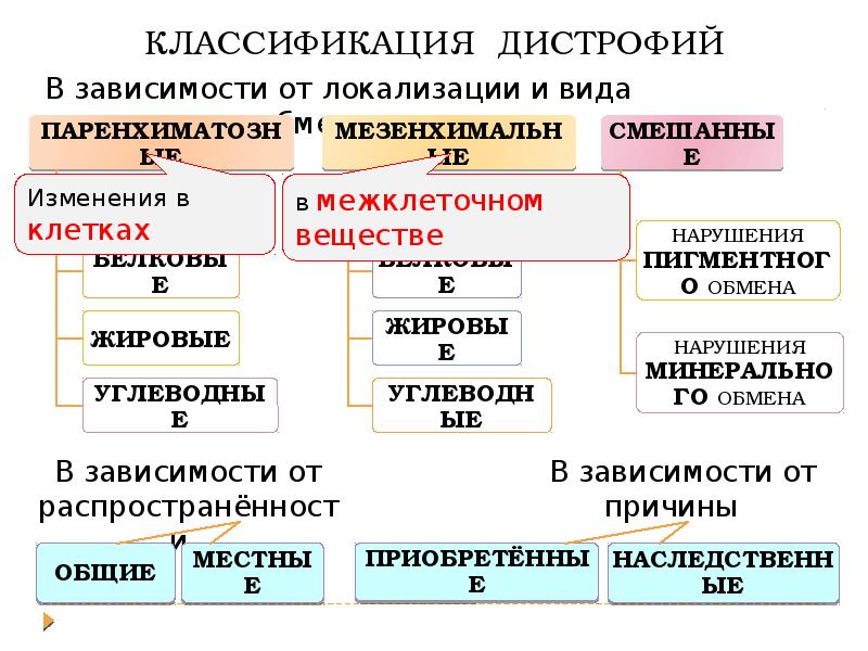 Виды дистрофии рисунки