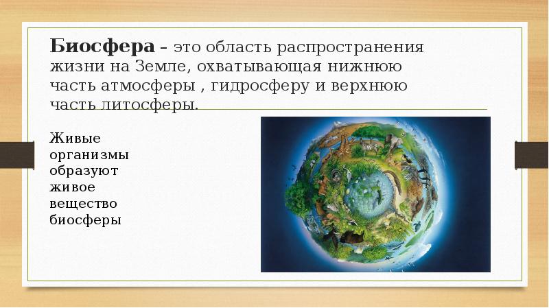 Оболочка жизни 6 класс география презентация. Биосфера это область распространения жизни на земле. Биосфера область распространения жизни. Оболочка жизни. Область распространения биосферы охватывает ответ.