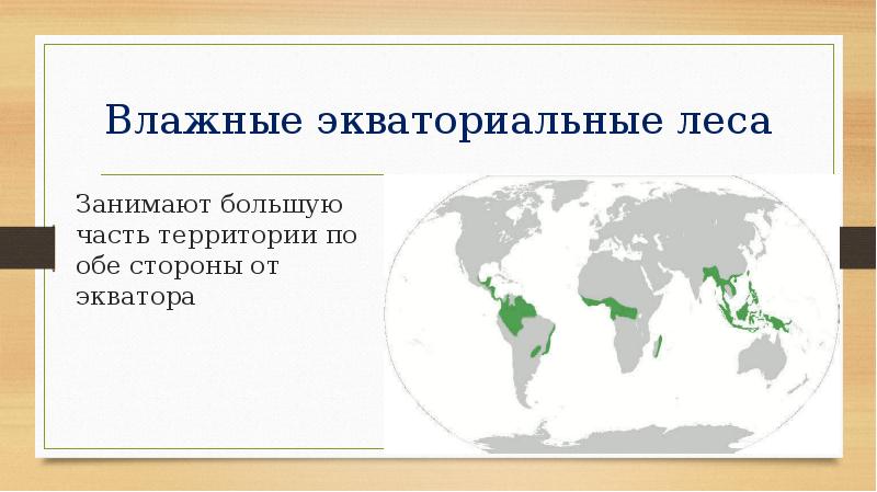 Влажные экваториальные леса карта мира