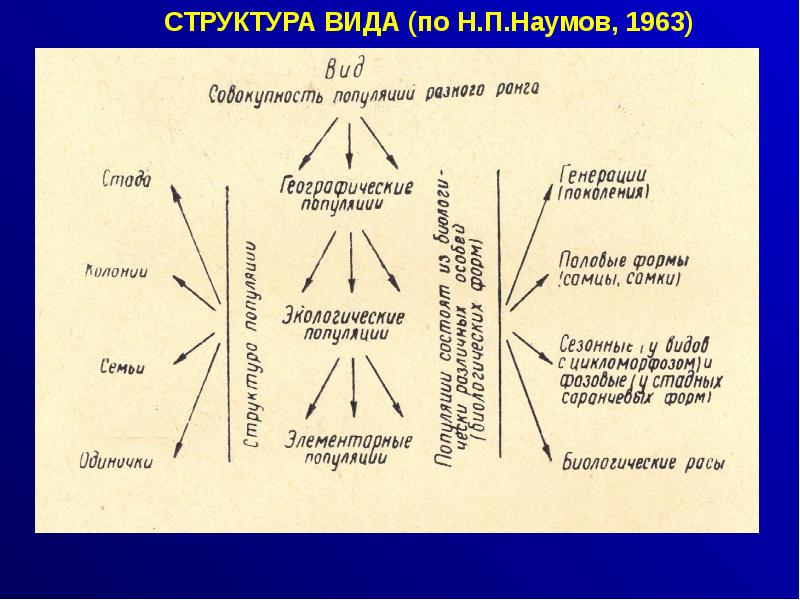 Структурный вид. Структура вида. Структура вида таблица. Структура вида в природе. Структура вида в природе таблица.