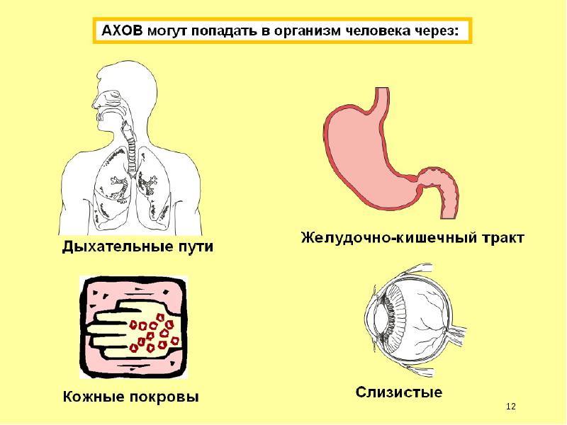 Презентация первая помощь при поражении ахов