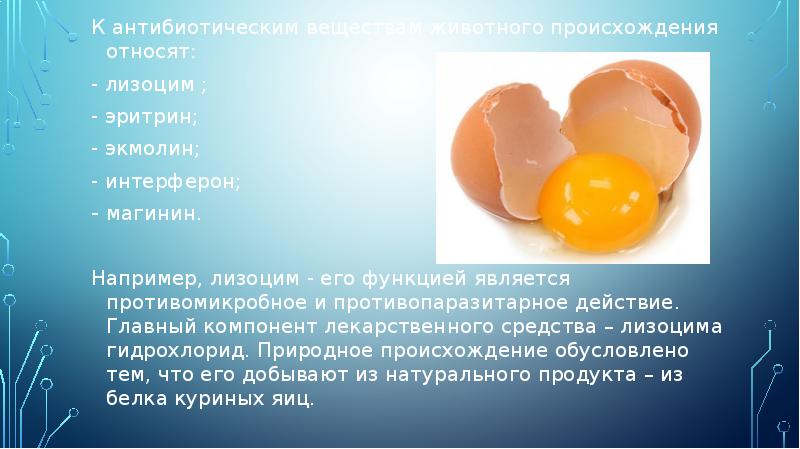 К антибиотическим веществам животного происхождения относят:
К антибиотическим веществам животного происхождения К антибиотическим веществам животного происхождения относят:
К антибиотическим веществам животного происхождения