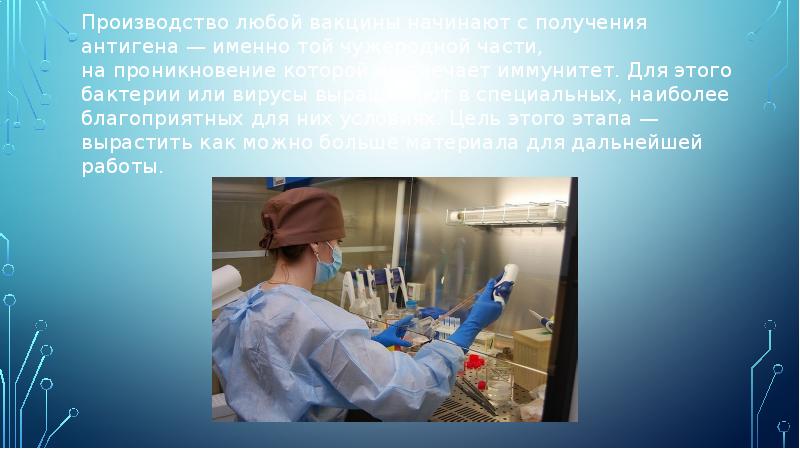 Производство любой вакцины начинают с получения антигена — именно той чужеродной части, на проникновение Производство любой вакцины начинают с получения антигена — именно той чужеродной части, на проникновение