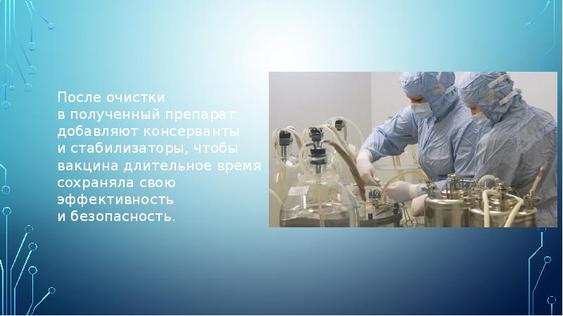 После очистки в полученный препарат добавляют консерванты и стабилизаторы, чтобы вакцина длительное время После очистки в полученный препарат добавляют консерванты и стабилизаторы, чтобы вакцина длительное время