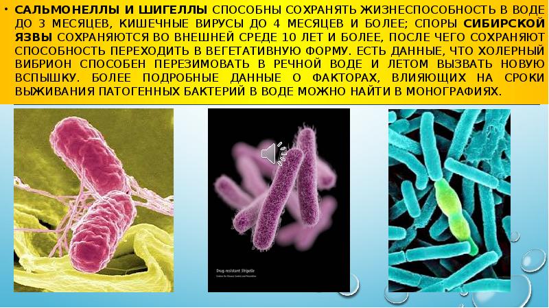 Роль воды в распространении возбудителей инфекционных заболеваний презентация