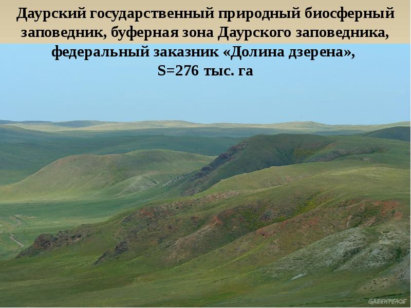 Даурский заповедник в какой природной зоне. Долина дзерена государственный природный заказник. даурский государственный природный биосферный заповедник на карте. долина дзерена заказник на карте. долина дзерена карта.