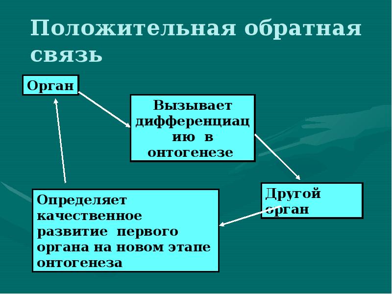 Биохимический процесс клетки