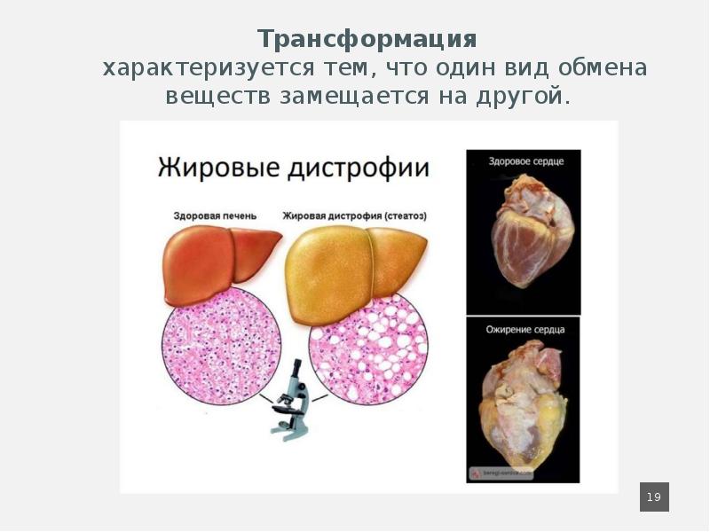 Какие виды повреждений файлов и дисков вам известны