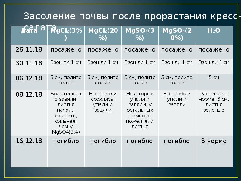 Влияние почвы на рост растений проект