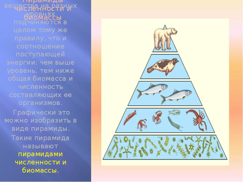 Экологическая пирамида перевернутая примеры