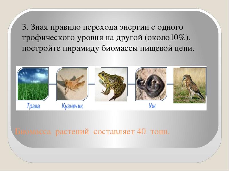 Составление схем передачи веществ и энергии по цепям питания в природной экосистеме