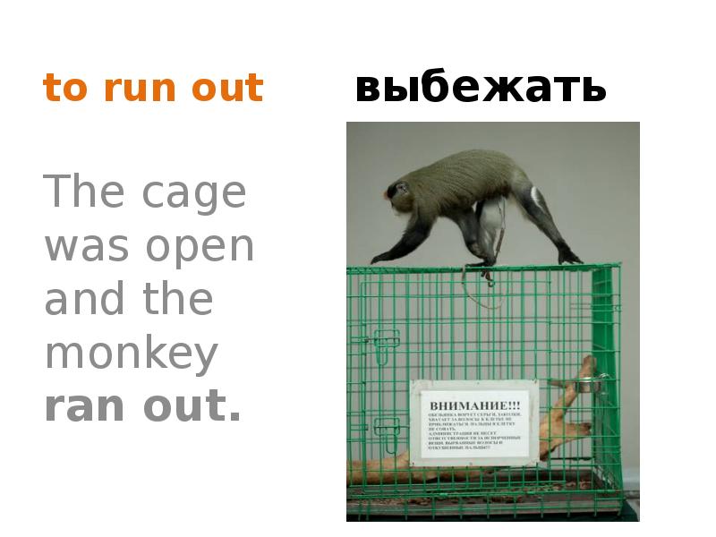 We run out. Run out of. Run out of Run into. Run out, total Run out etc signs. Look the Monkeys are Running Run как правильно.