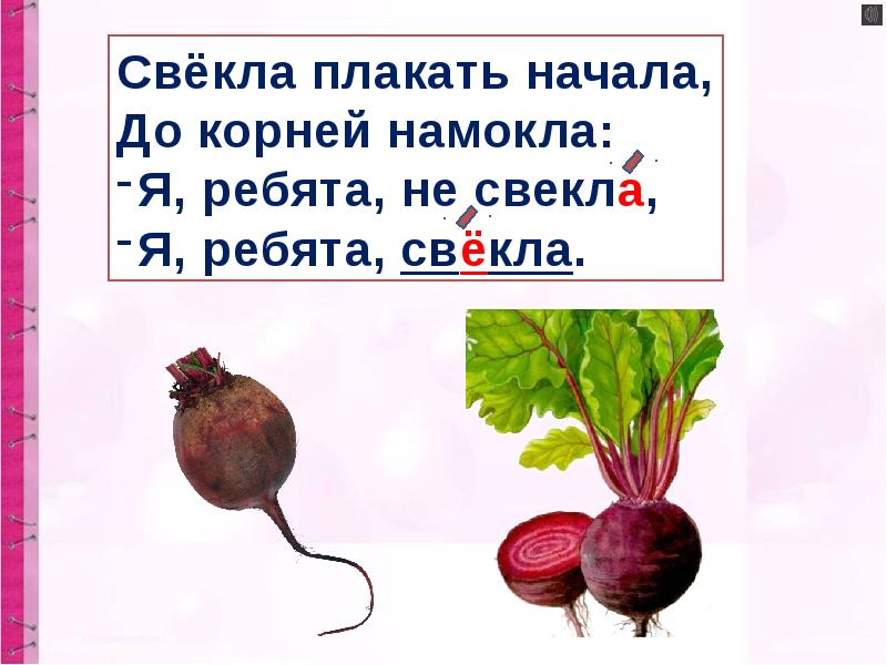 Плода ударение. Свекла ударение. Свекла ударение стишок. Русская свекла. Загадка с ударением свёкла.