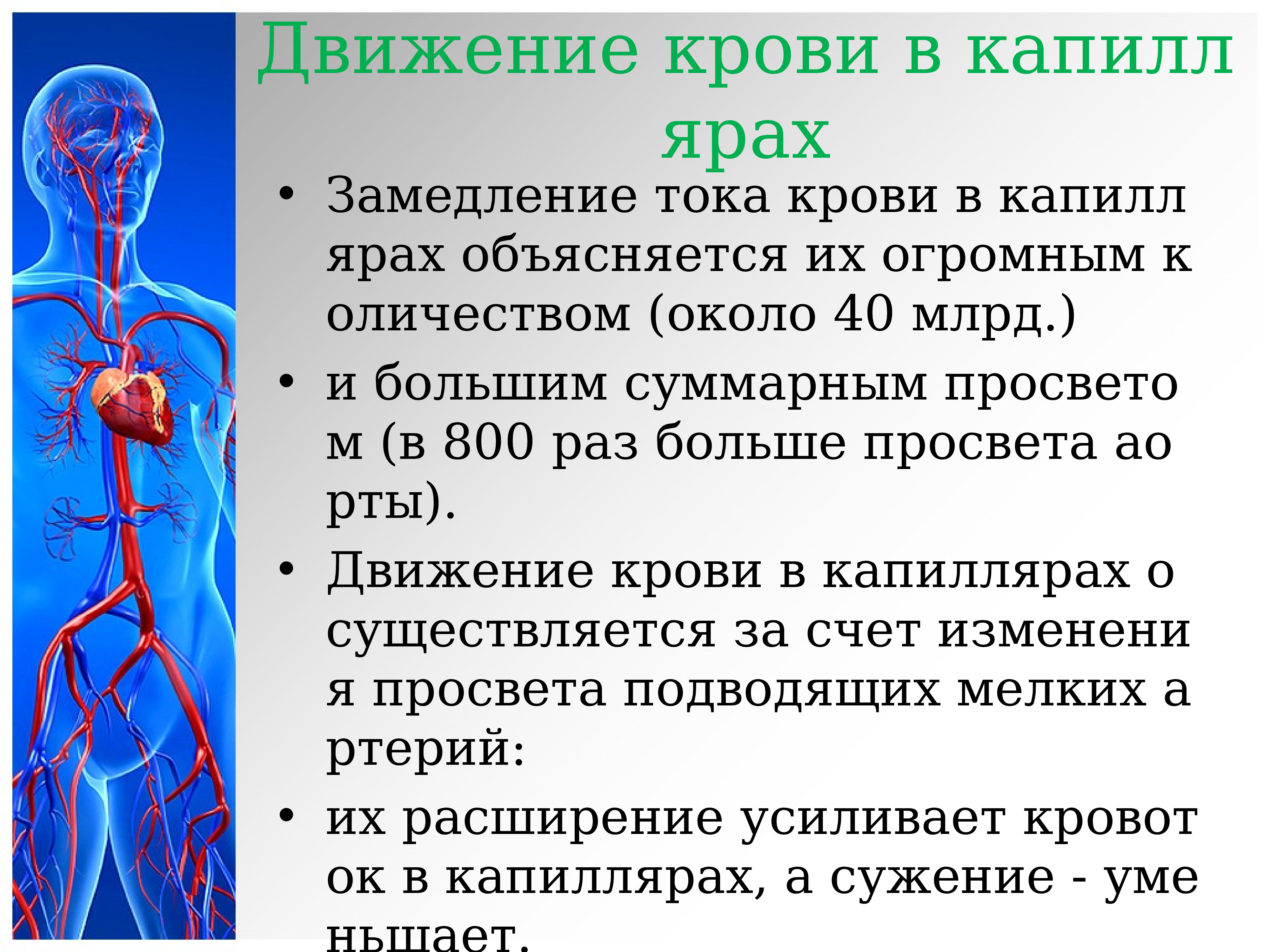 Давление в капиллярах. Движение крови в артериях. Причины движения крови в артериях. Движение крови по капиллярам. Факторы способствующие движению крови по артериям.