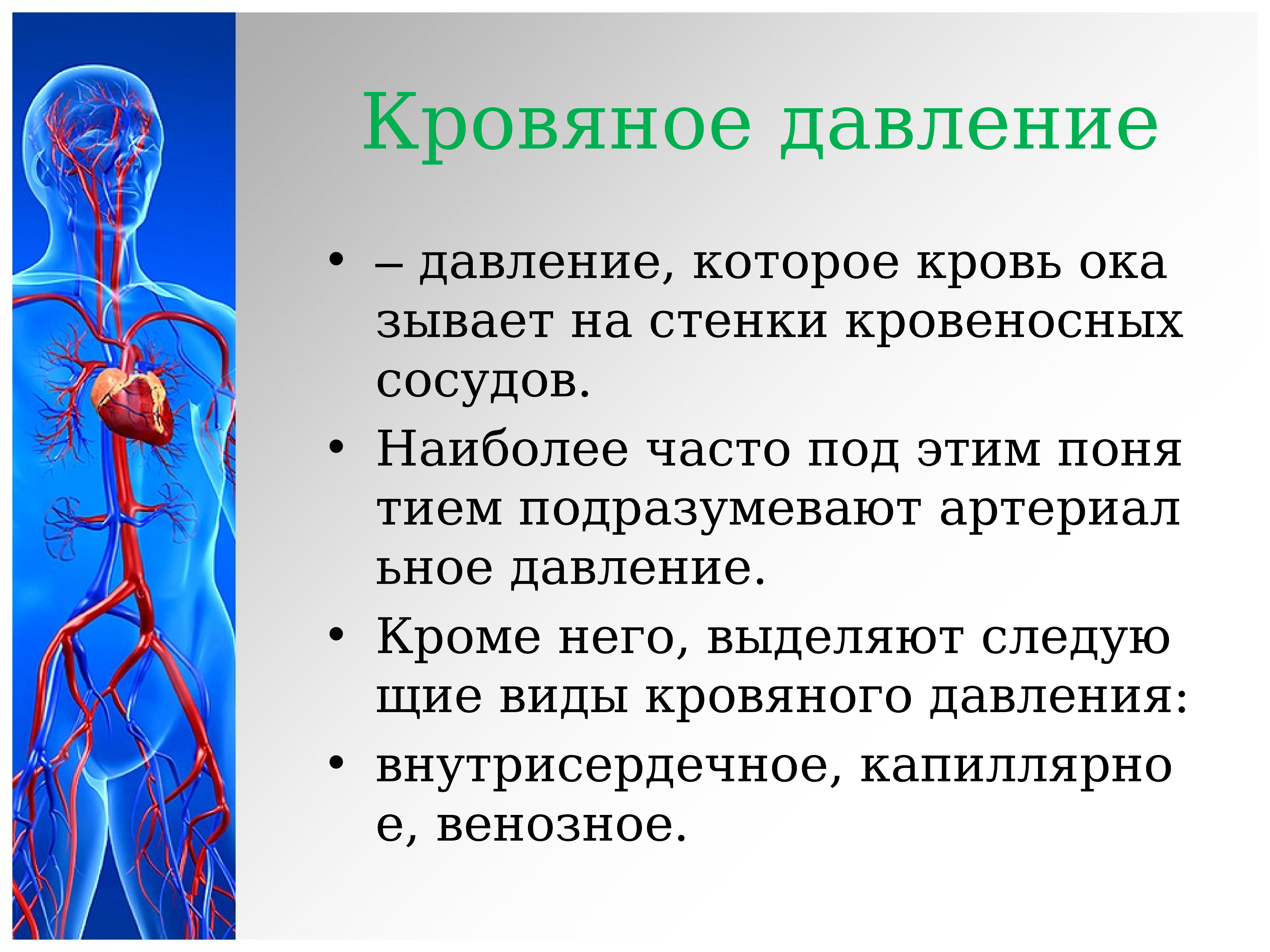 Сердечно сосудистая система лабораторная работа. Венозное кровяное давление. Сердечно сосудистая система презентация. Виды кровяного давления. Кровяное давление артериальное и венозное.