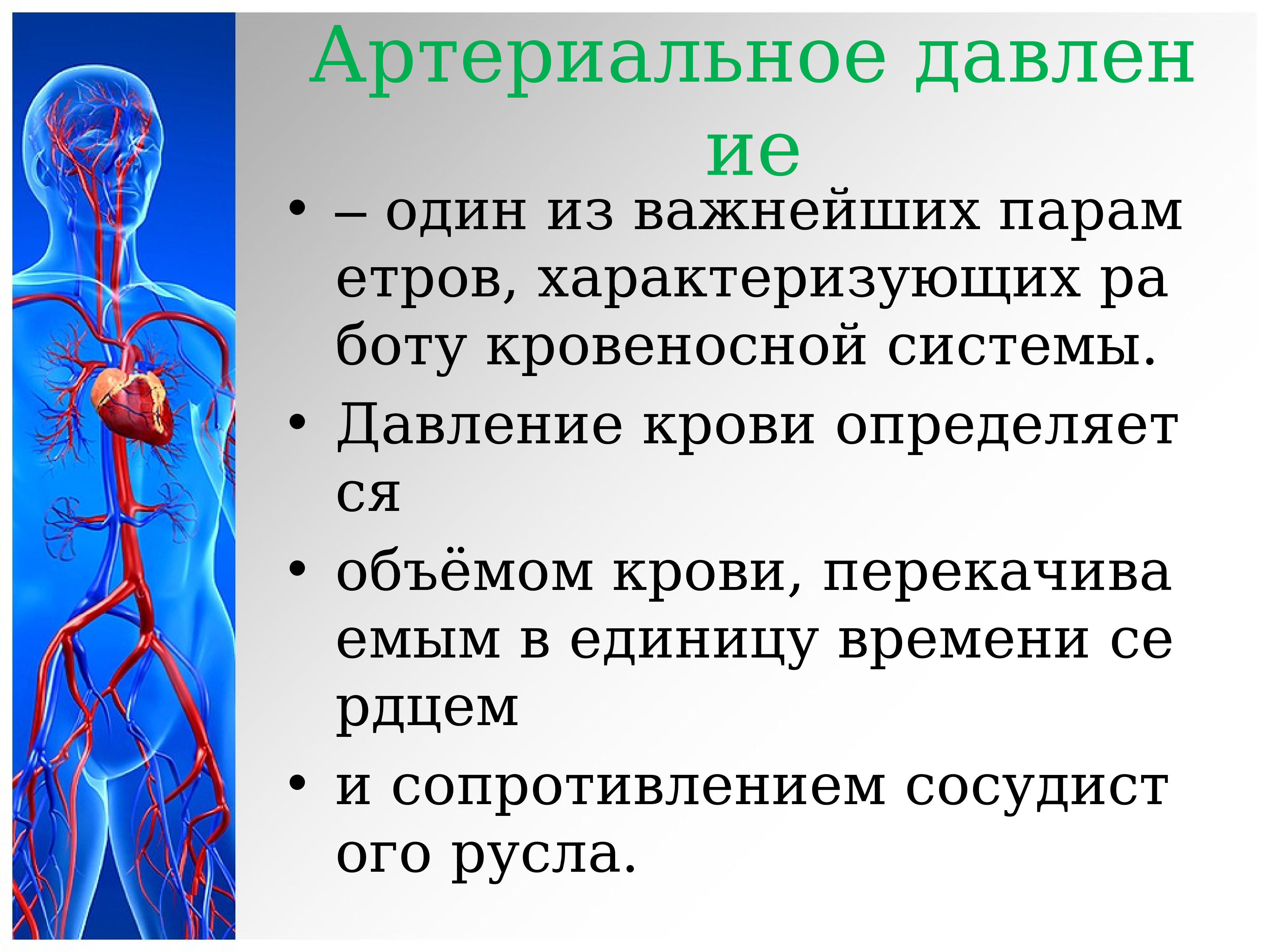 Сердечно сосудистая система 8 класс. Сердечно сосудистая система презентация. Сердечно сосудистая система презентаци. Кровеносная система 3 класс. Сердечно сосудистая система доклад.