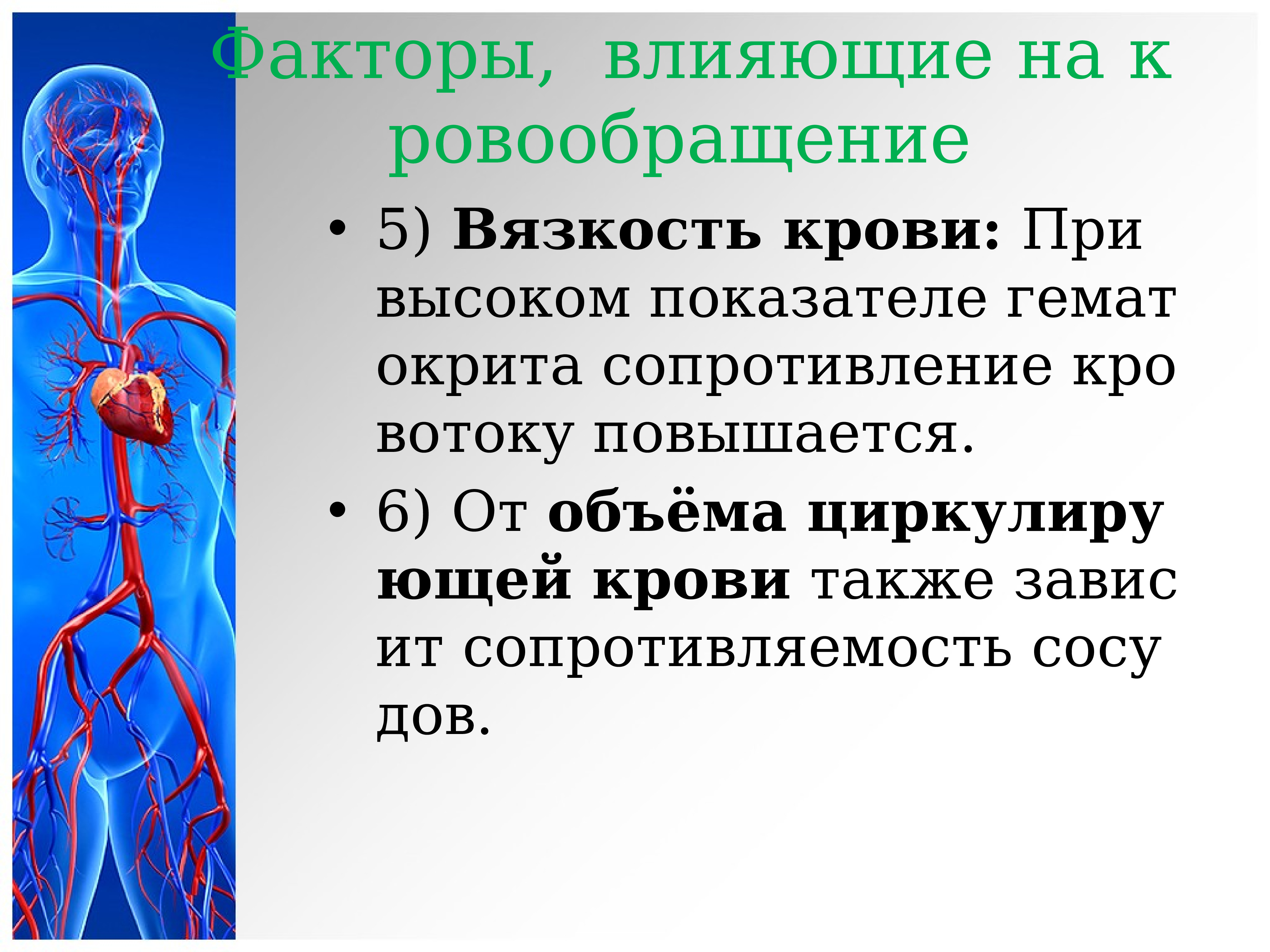 Сердечная система биология 8 класс. Факторы влияющие на кровообращение. Сердечно-сосудистая система человека презентация. Сердечно сосудистая система презентация. Презентация по сердечно сосудистой системе.