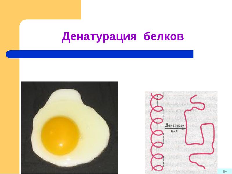 Схема денатурации белка