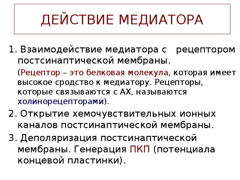 Рецептор это. Взаимодействие медиатора с рецепторами постсинаптической мембраны. Связывание нейромедиатора с рецепторами постсинаптической мембраны.. Взаимодействие медиатора с рецепторами. Взаимодействие медиатора с рецепторами постсинаптической.