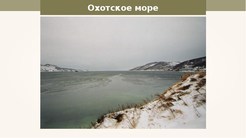 Презентация море охотское море