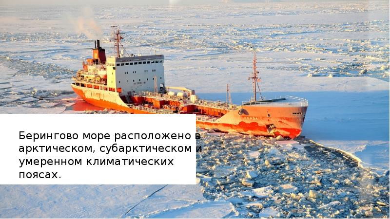 Охотское море презентация 9 класс