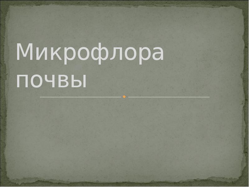 Микрофлора почвы Микрофлора почвы