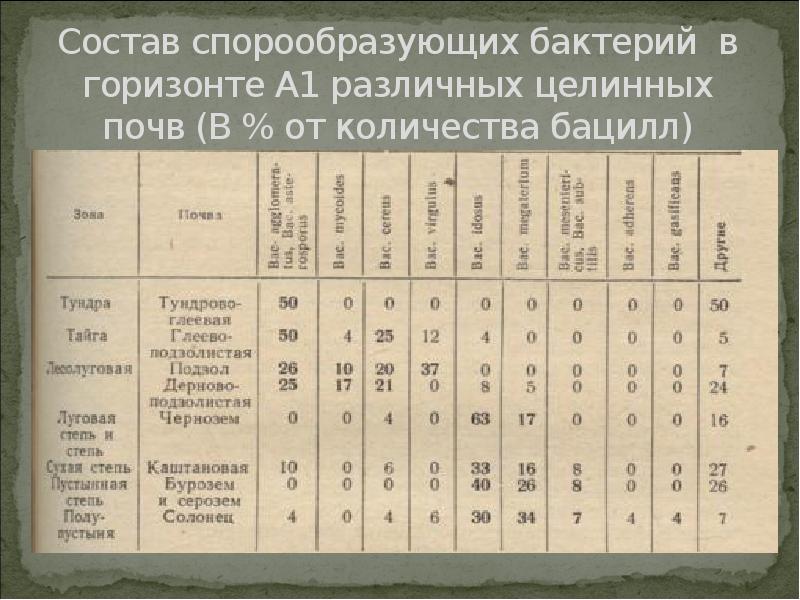 Состав спорообразующих бактерий в горизонте А1 различных целинных почв (В % Состав спорообразующих бактерий в горизонте А1 различных целинных почв (В %