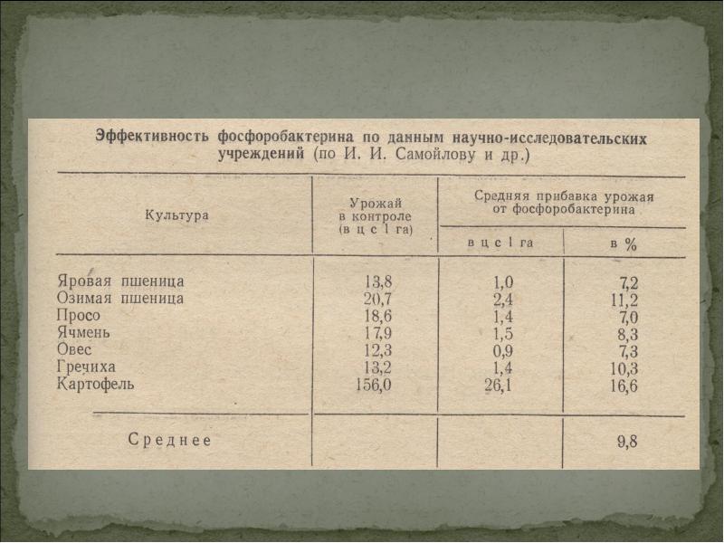 Микрофлора почвы презентация