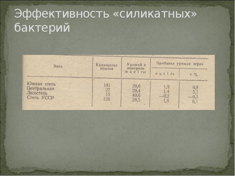 Эффективность «силикатных» бактерий Эффективность «силикатных» бактерий