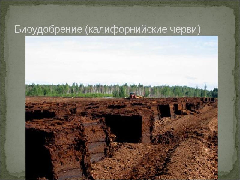Биоудобрение (калифорнийские черви) Биоудобрение (калифорнийские черви)