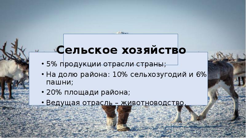 Продукция отрасли восточной сибири. Сельское хозяйство Сибири. Хозяйство Восточной Сибири. Южная Сибирь сельское хозяйство. Сельское хозяйство Восточно Сибирского района.