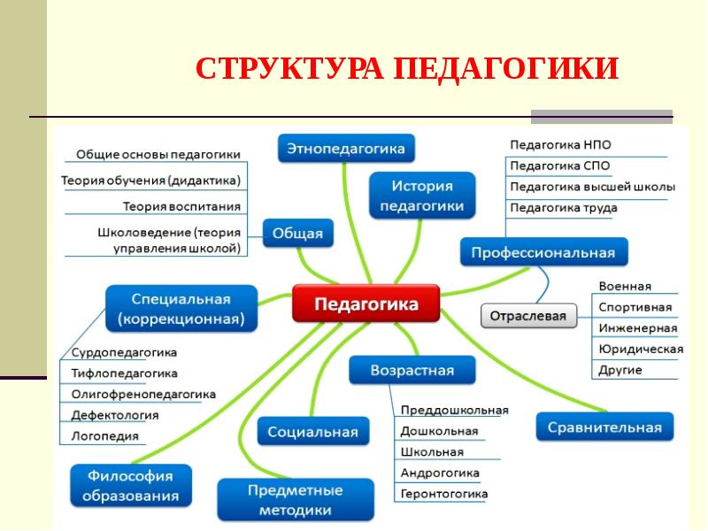 Кластер на тему классификация проектов в систему образования