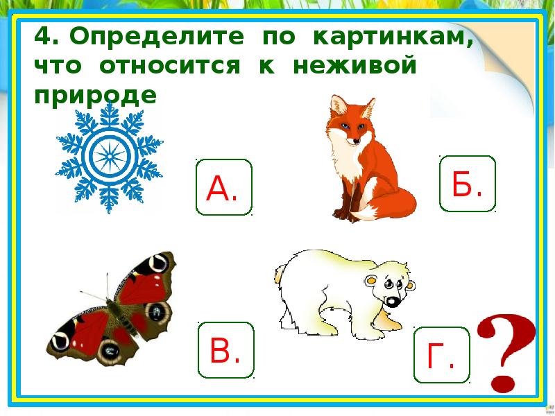 Картинки живое и неживое для дошкольников