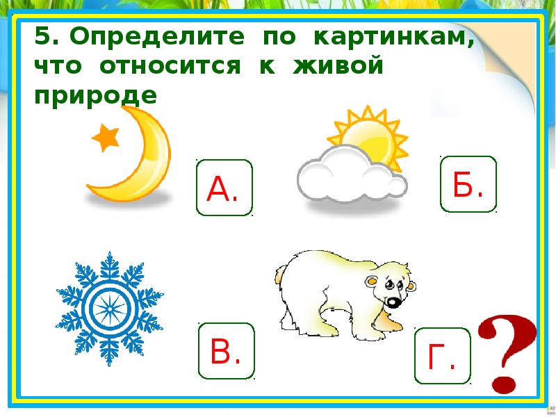 Живой задание. Задания по живой и неживой природе. Неживая природа задания. Окружающий мир Живая и неживая природа задания. Неживая природа задания для дошкольников.