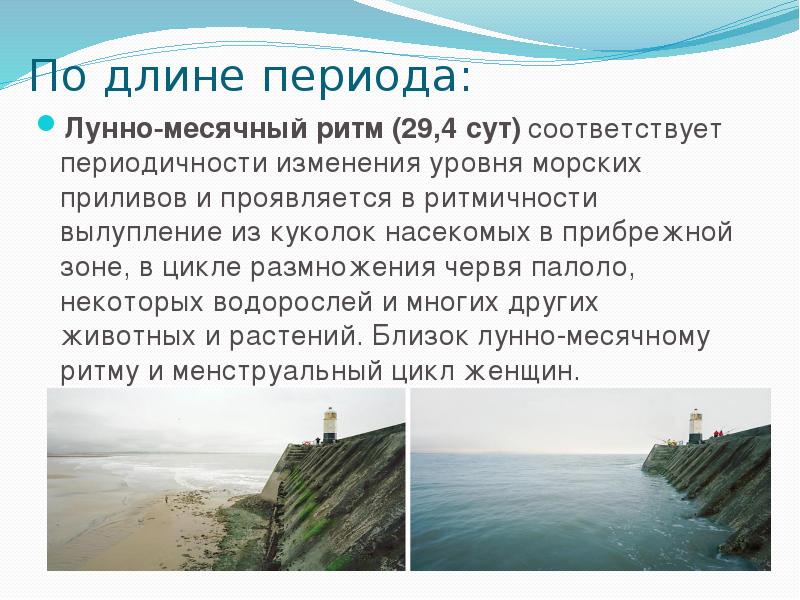 Длина периода. Лунно-месячный ритм:. Прилив моря управление.